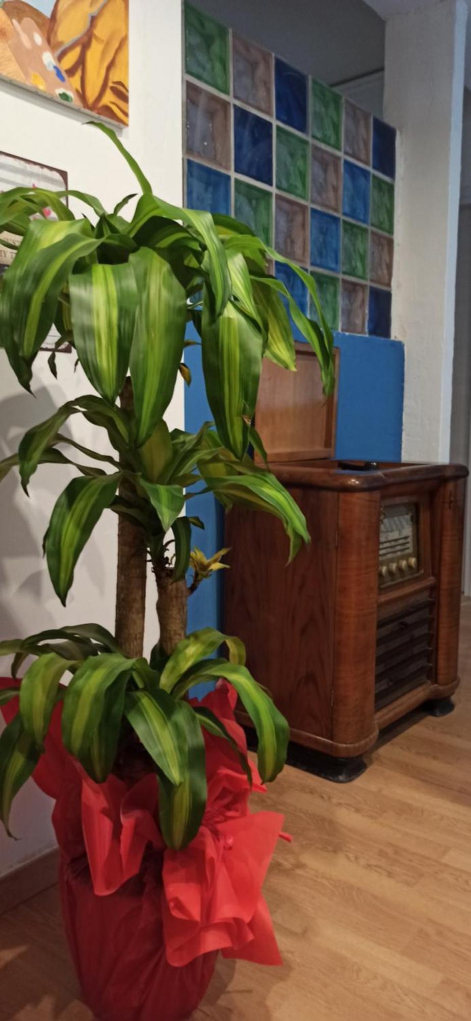 New Suite 巴勒莫 外观 照片