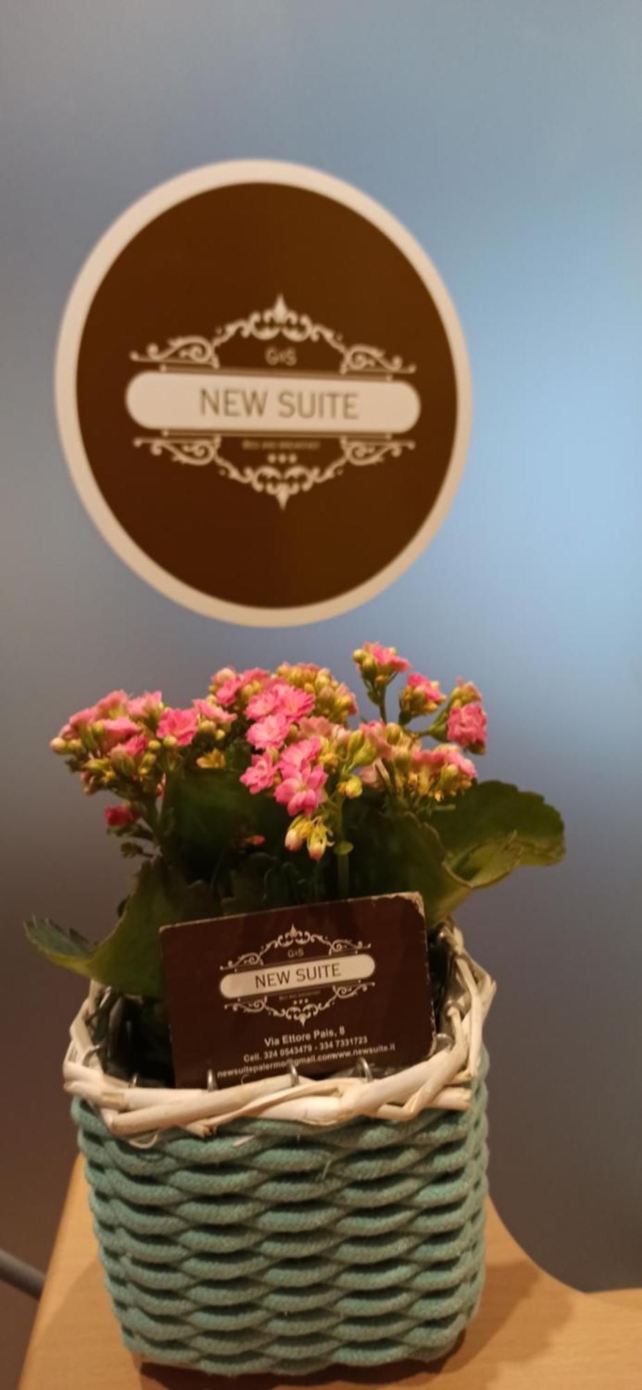 New Suite 巴勒莫 外观 照片